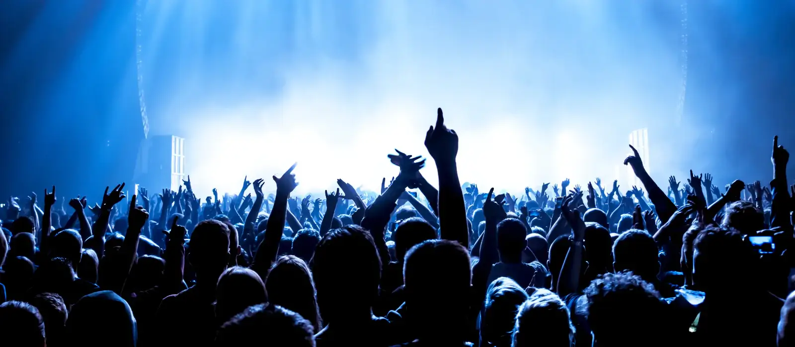 publikum na koncertě