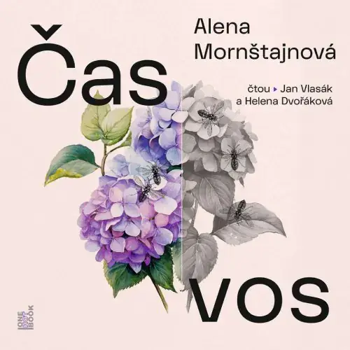 Česká společenská próza Čas vos